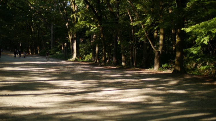 fc8dc25b27ae96eff951ca9fefb4ae75